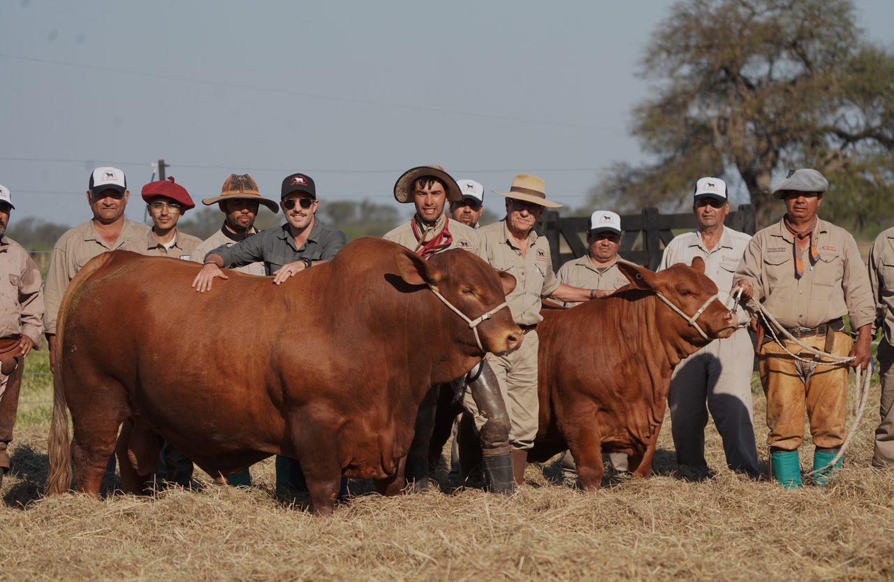 El equipo de Cabaña La Emiliana con los animales campeones